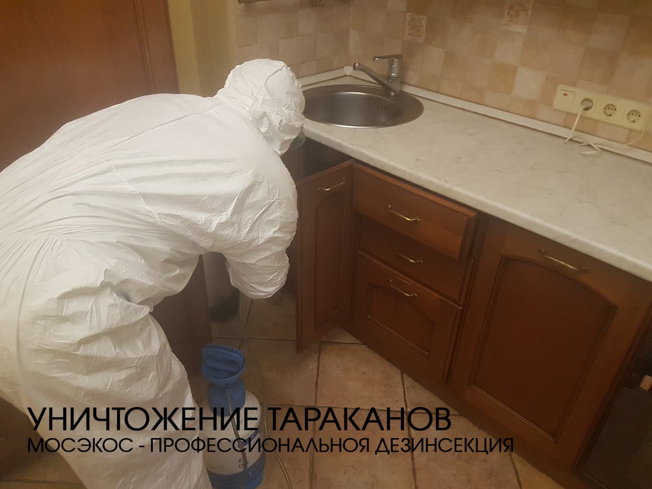 Служба по уничтожению тараканов в Внуково